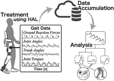 Analyzing gait data measured by wearable cyborg hybrid assistive limb during assisted walking: gait pattern clustering